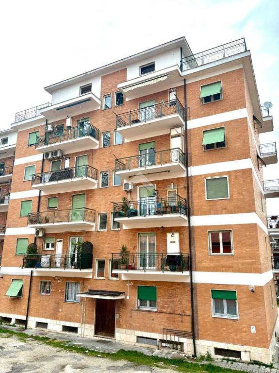 immagine annuncio 6 di 15