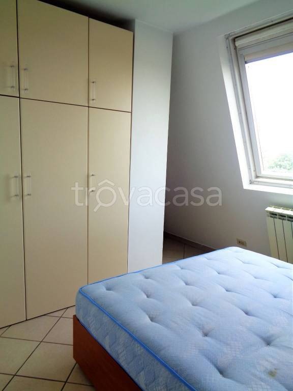 immagine annuncio 7 di 14