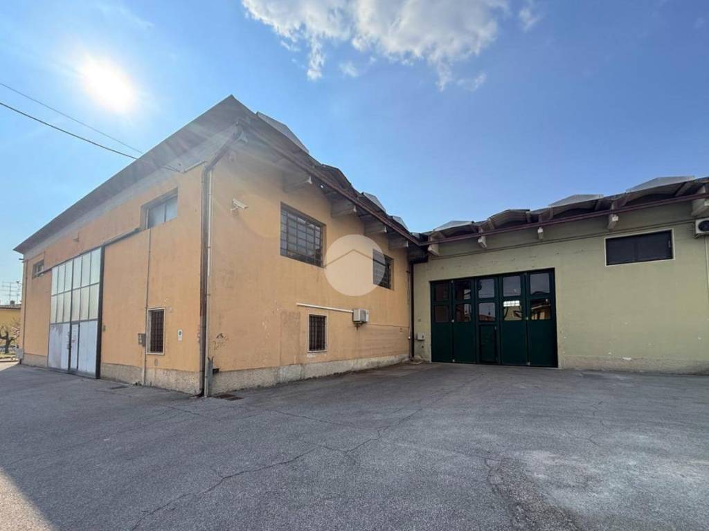 immagine annuncio 5 di 15