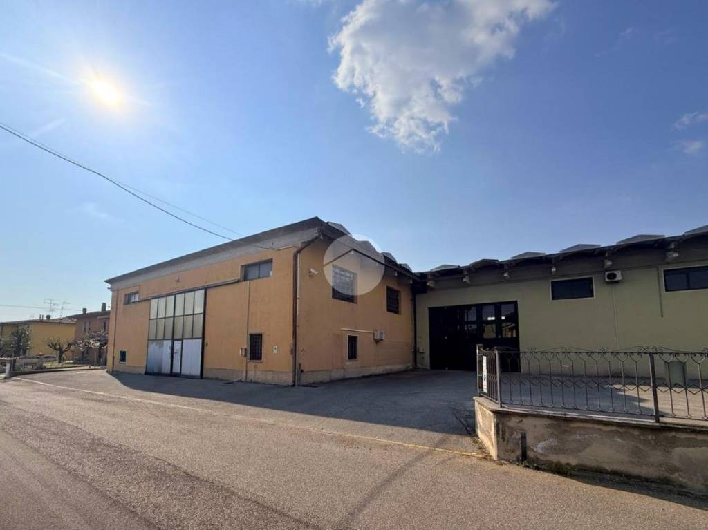 immagine annuncio 9 di 15
