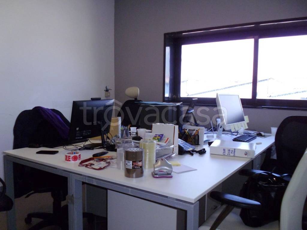 immagine annuncio 3 di 12