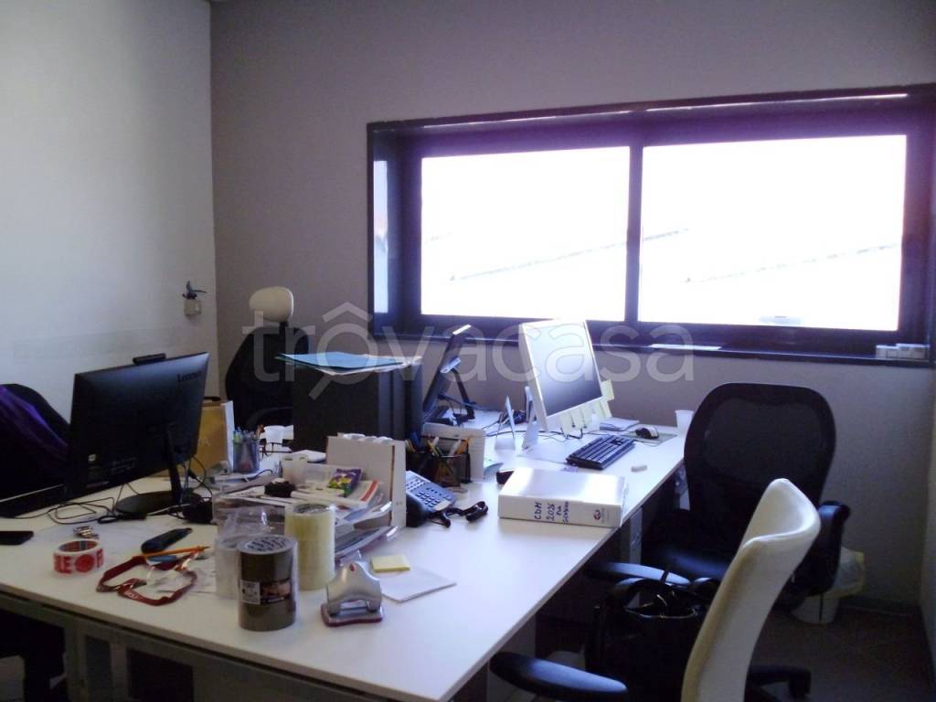 immagine annuncio 4 di 12