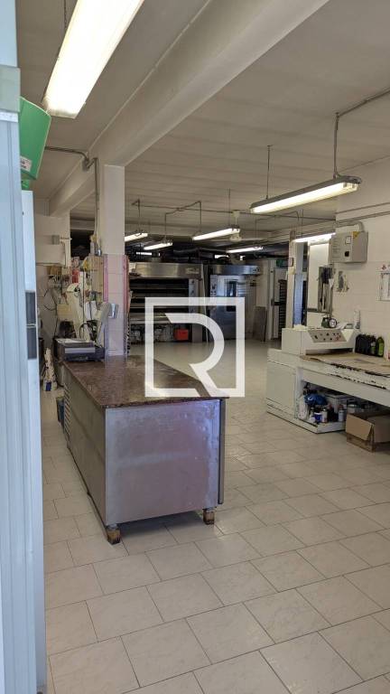 immagine annuncio 4 di 14