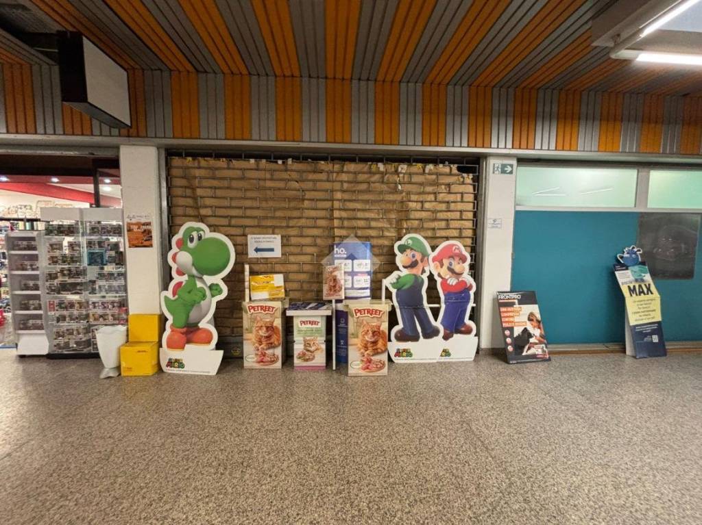immagine annuncio 2 di 12