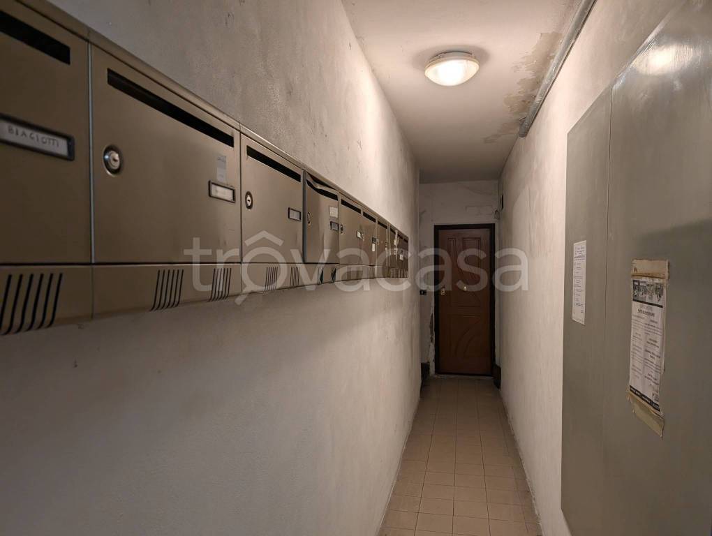 immagine annuncio 10 di 14