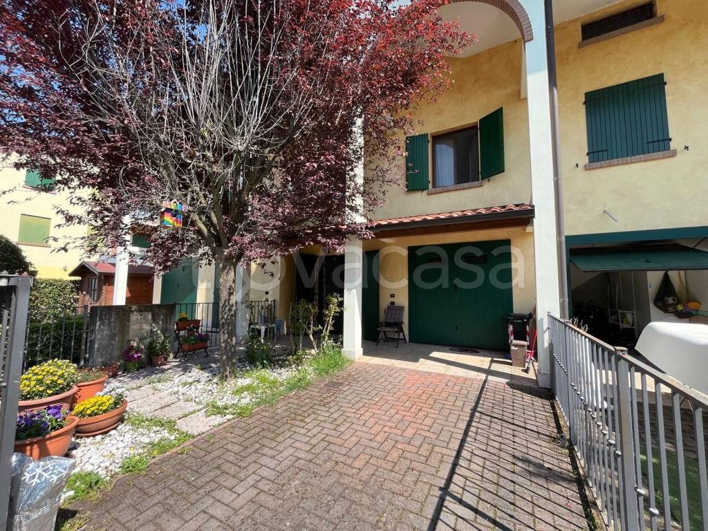 immagine annuncio 5 di 15