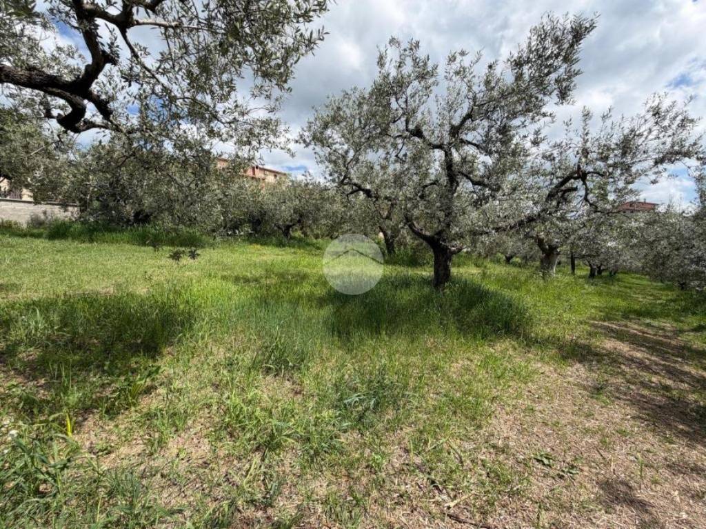 immagine annuncio 5 di 13