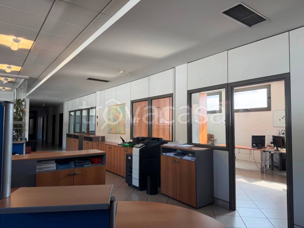 immagine annuncio 7 di 11