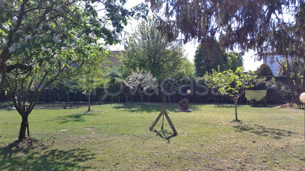 immagine annuncio 3 di 11