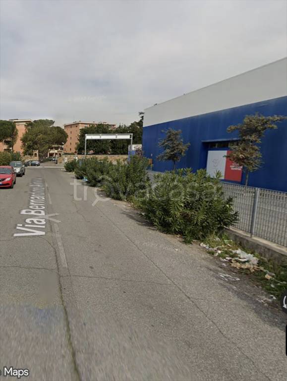 immagine annuncio 2 di 14