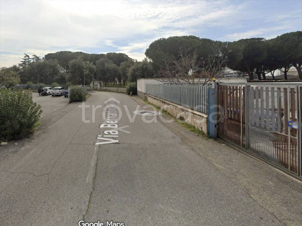 immagine annuncio 3 di 14