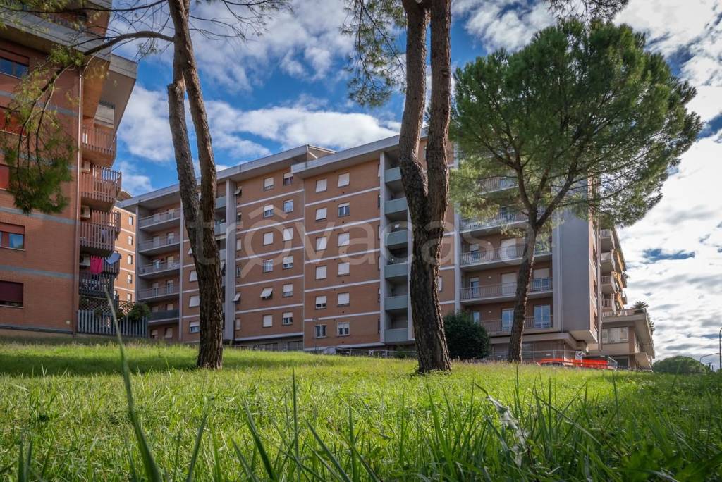 immagine annuncio 10 di 11