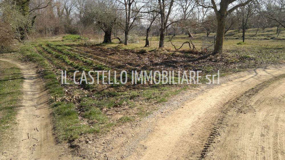 immagine annuncio 11 di 15