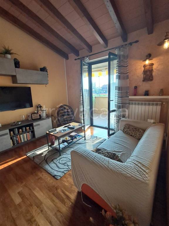 immagine annuncio 9 di 15