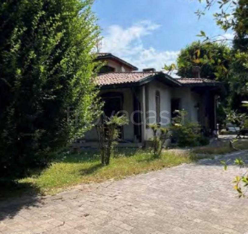 immagine annuncio 5 di 12