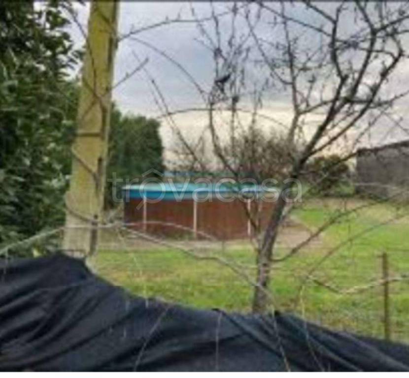 immagine annuncio 4 di 14