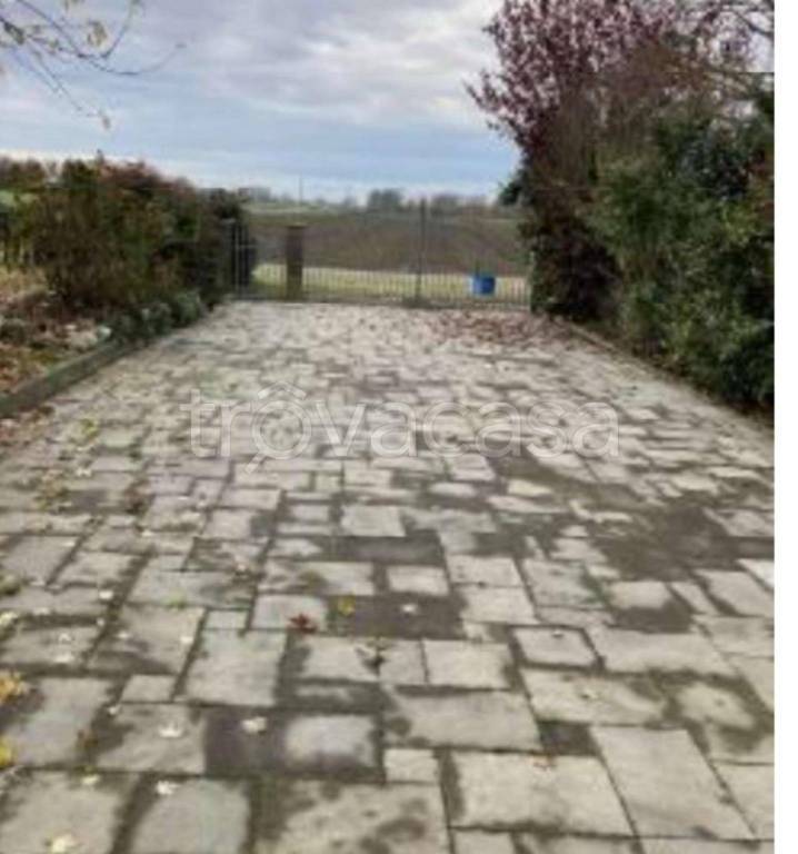 immagine annuncio 7 di 14