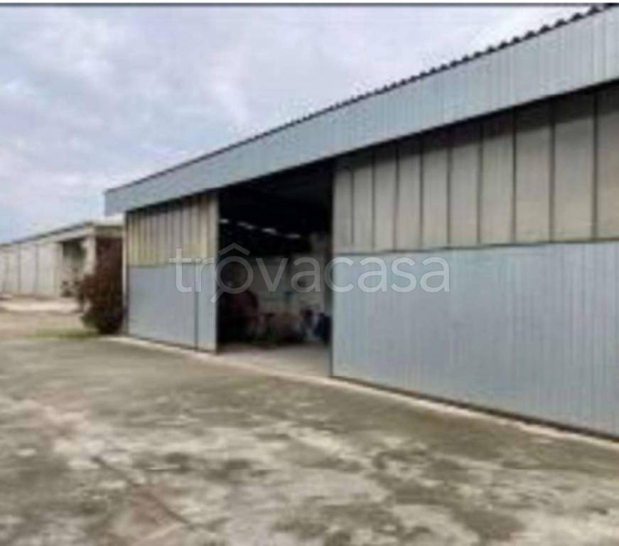 immagine annuncio 9 di 14