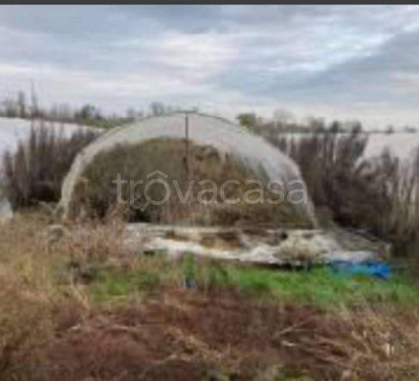 immagine annuncio 10 di 14