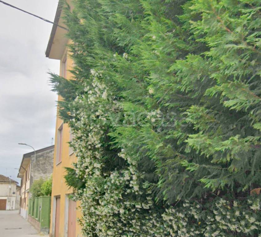 immagine annuncio 7 di 12