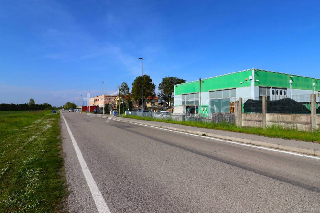 immagine annuncio 2 di 7