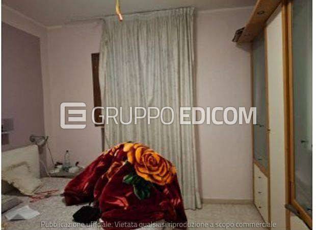 immagine annuncio 7 di 14