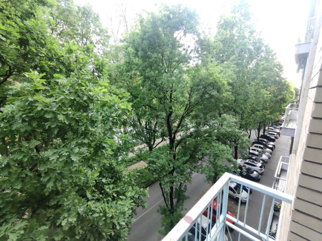 immagine annuncio 9 di 11