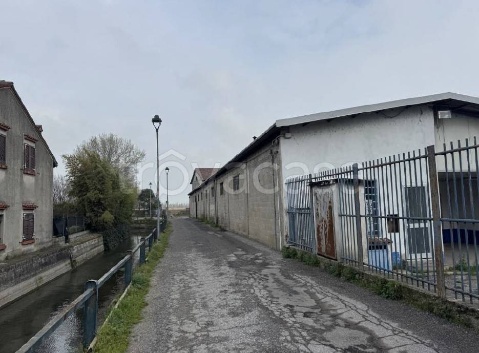 immagine annuncio 7 di 9