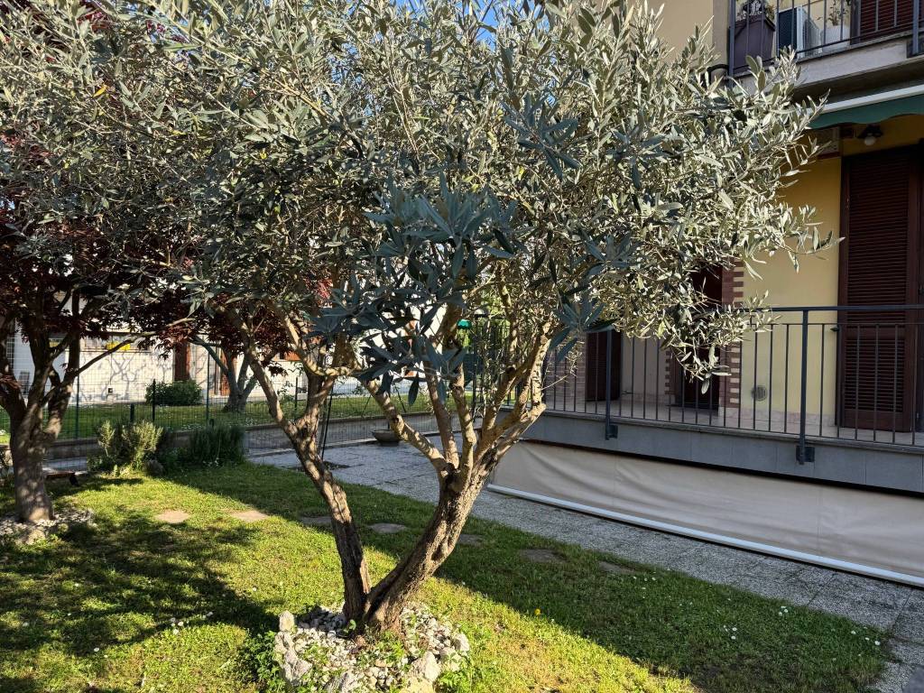 immagine annuncio 5 di 15