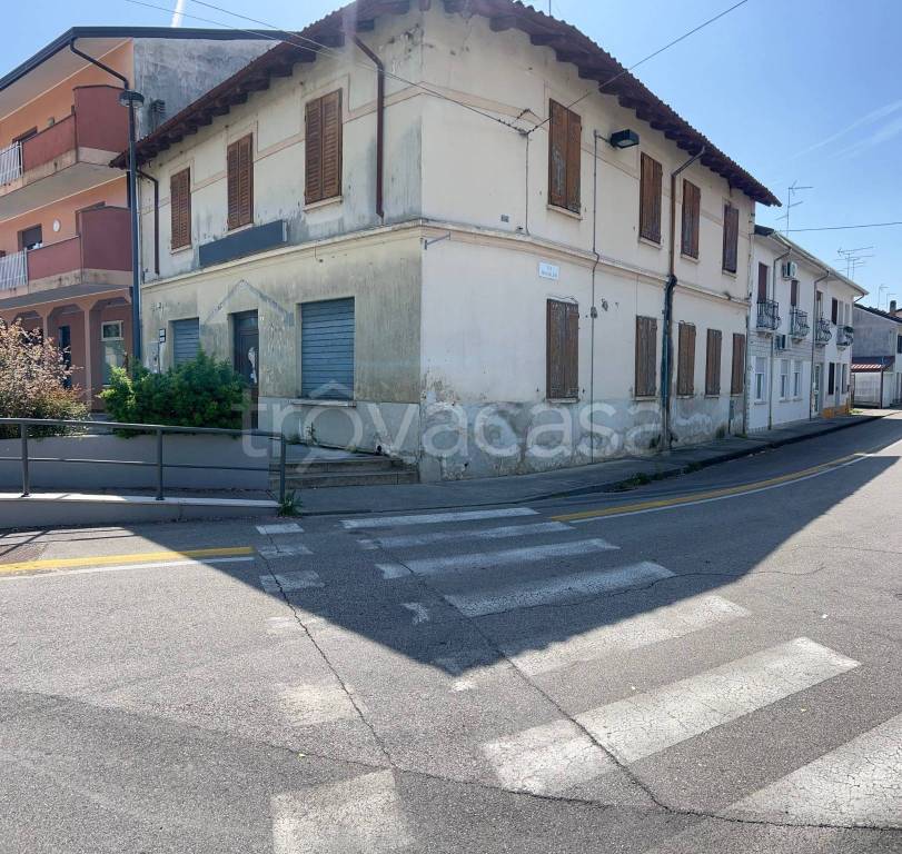 immagine annuncio 4 di 12
