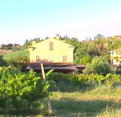 immagine annuncio 4 di 9