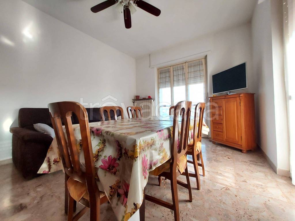 immagine annuncio 4 di 14