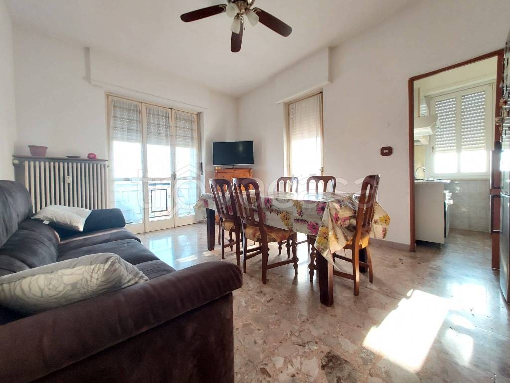 immagine annuncio 7 di 14