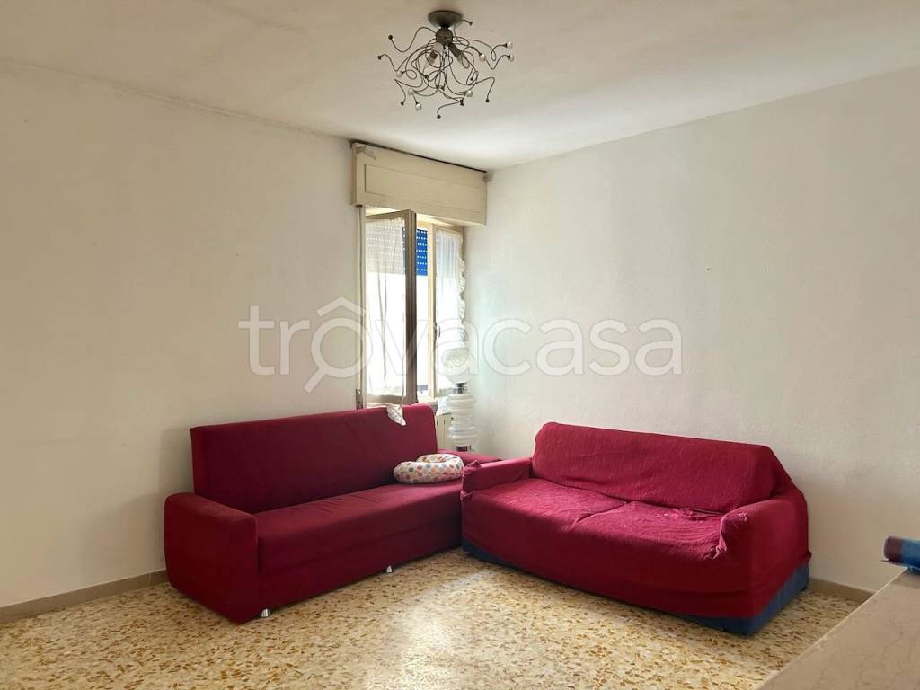 immagine annuncio 2 di 13