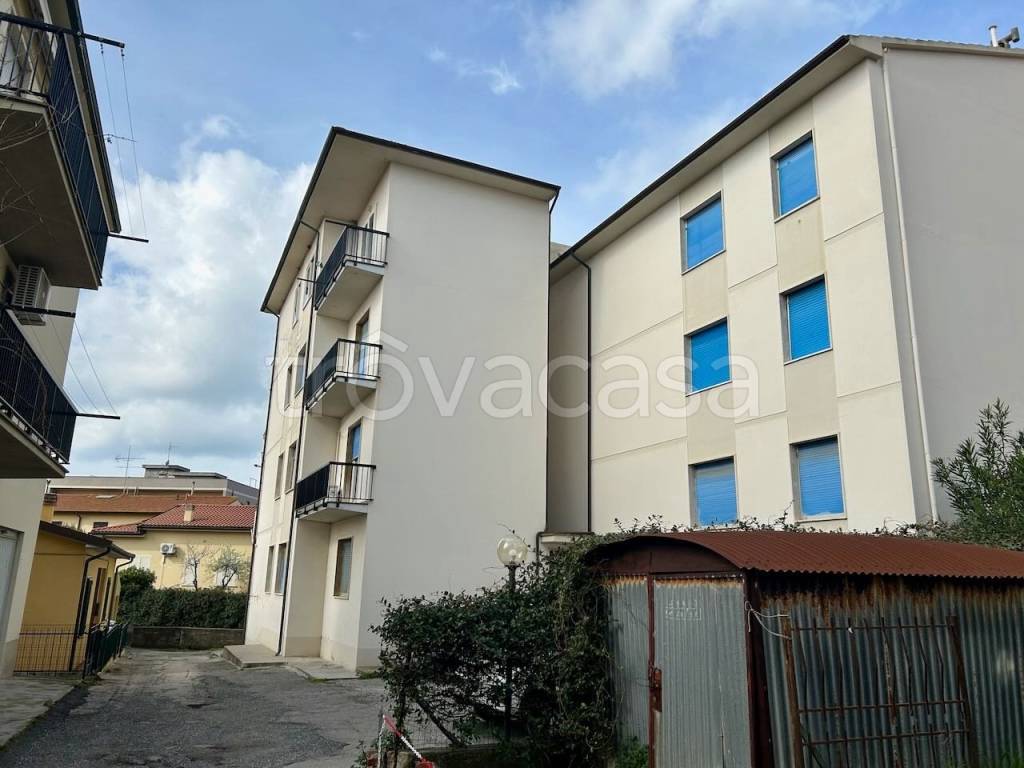 immagine annuncio 12 di 13