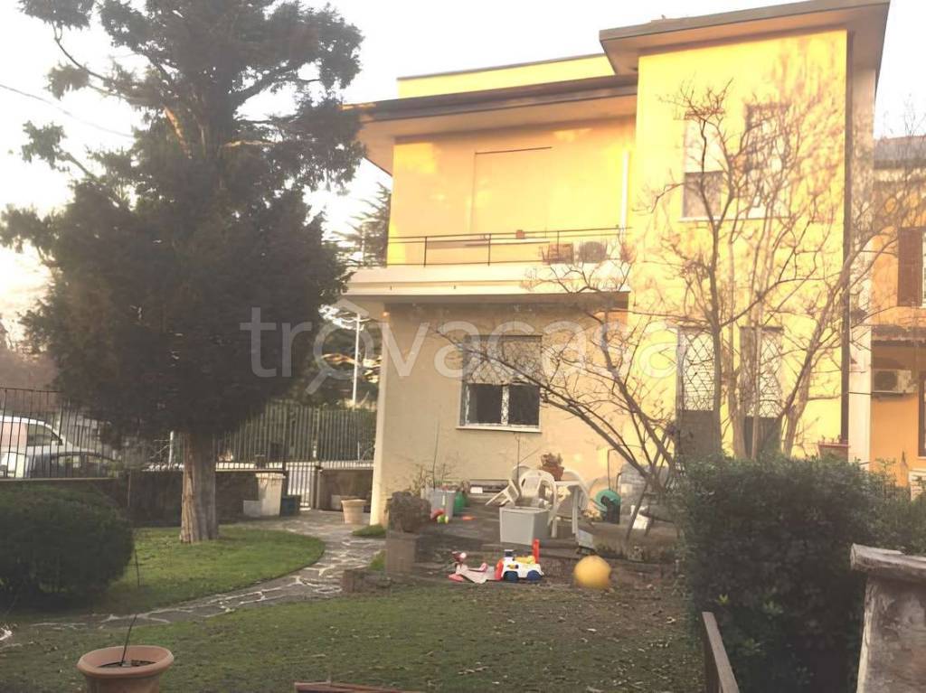 immagine annuncio 1 di 11