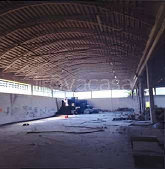 immagine annuncio 4 di 9
