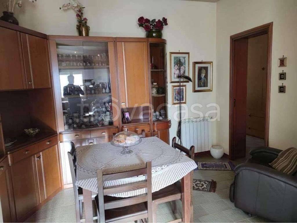 immagine annuncio 4 di 14