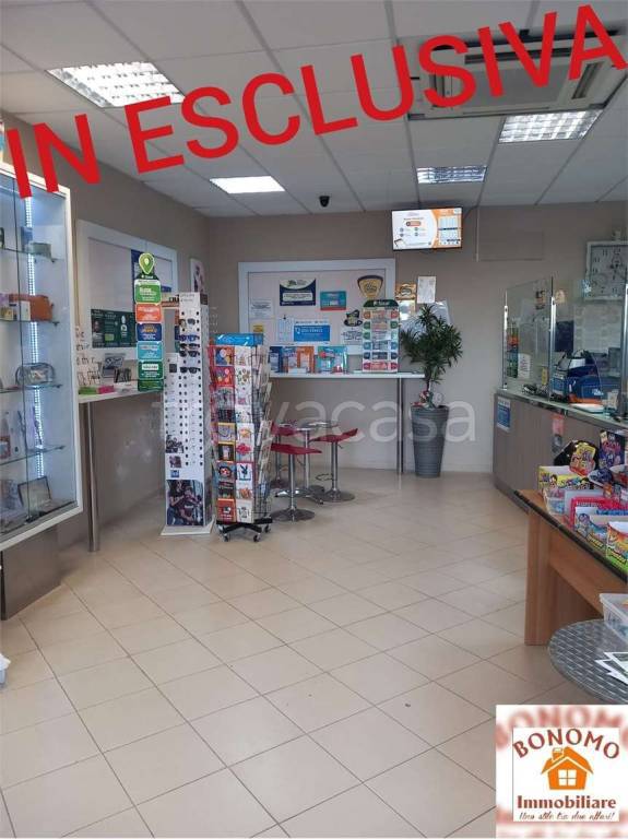 immagine annuncio 4 di 6