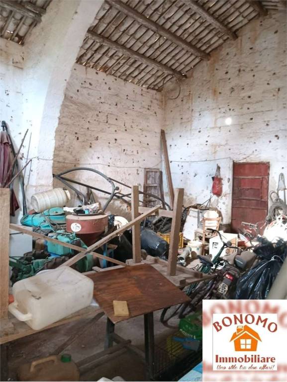 immagine annuncio 4 di 12