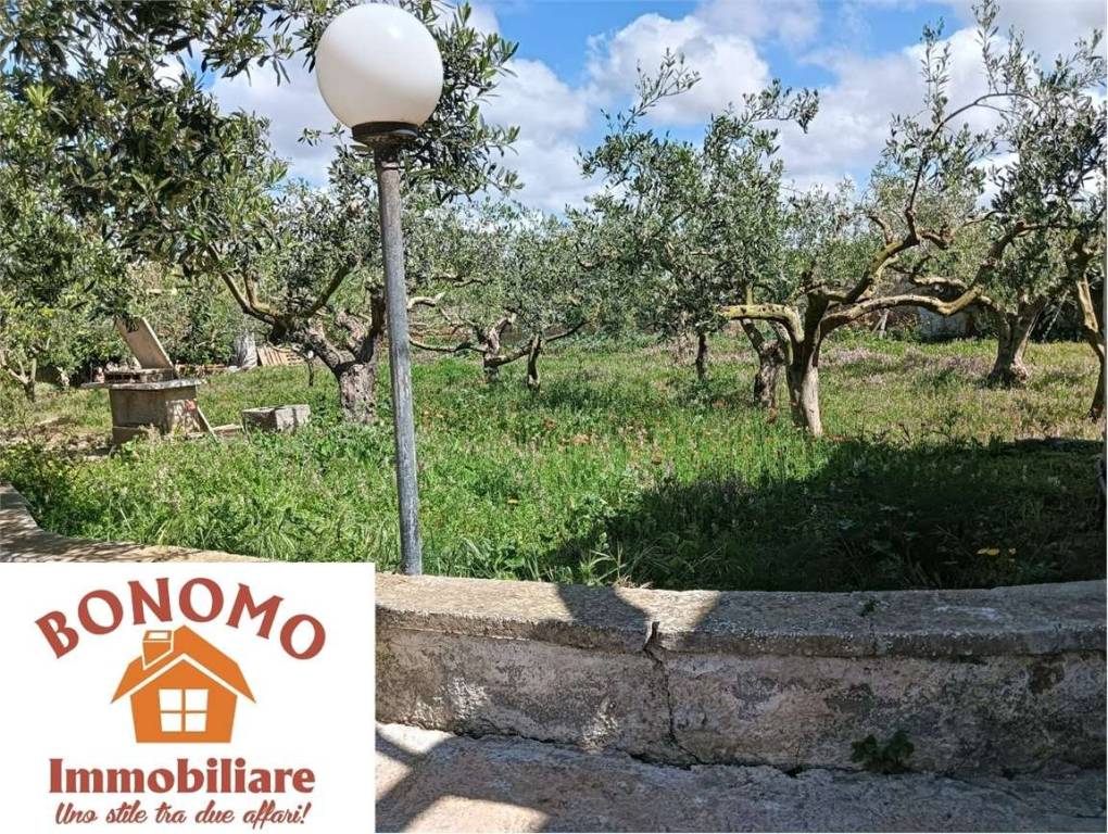 immagine annuncio 2 di 14