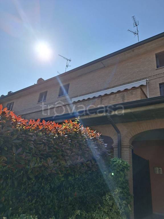 immagine annuncio 12 di 14