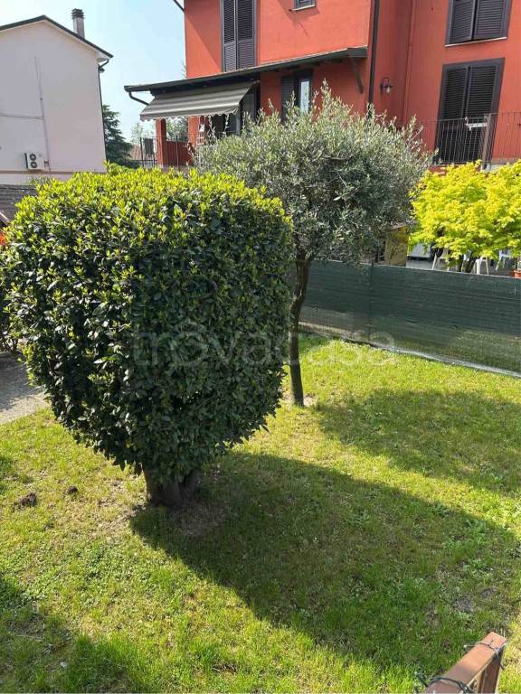 immagine annuncio 7 di 14