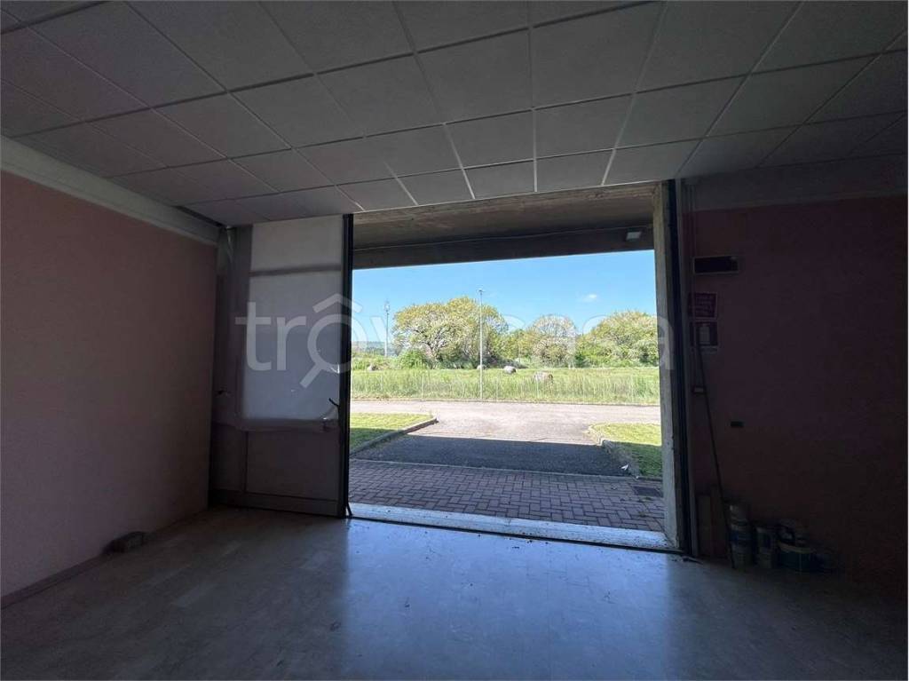 immagine annuncio 9 di 12