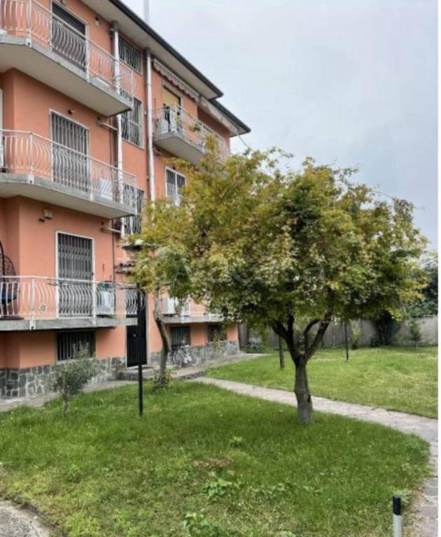 immagine annuncio 7 di 10