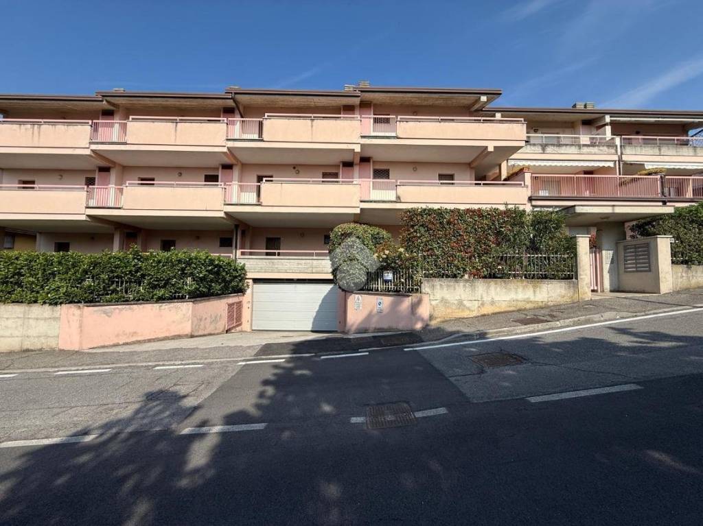 immagine annuncio 3 di 14