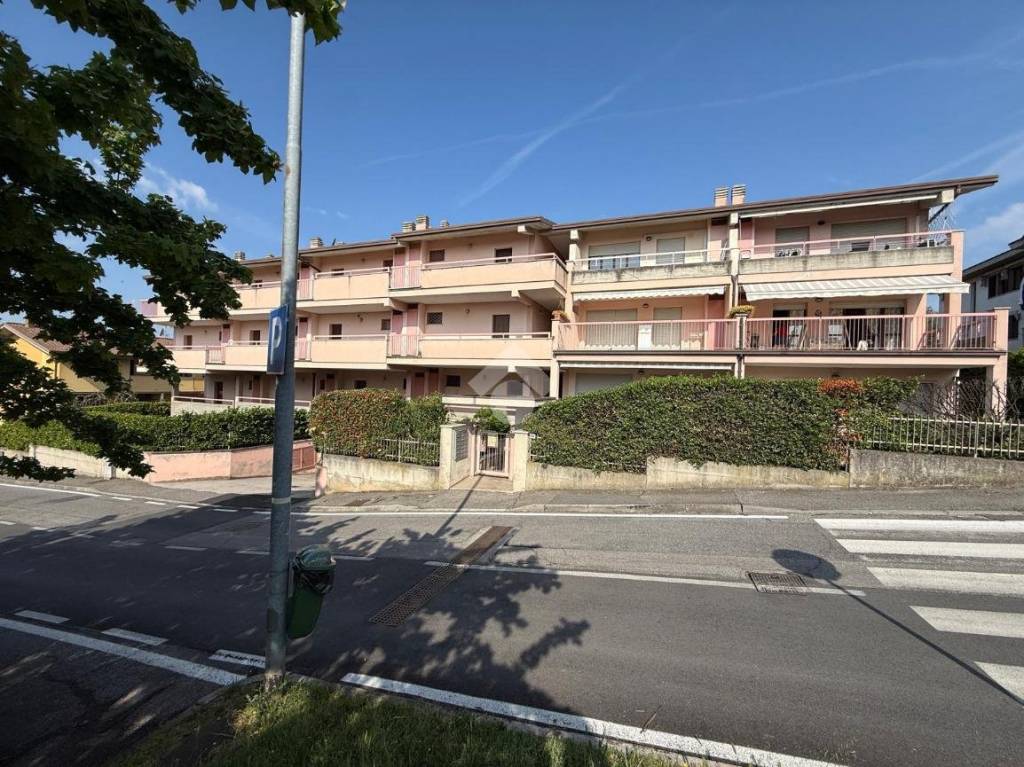 immagine annuncio 4 di 14