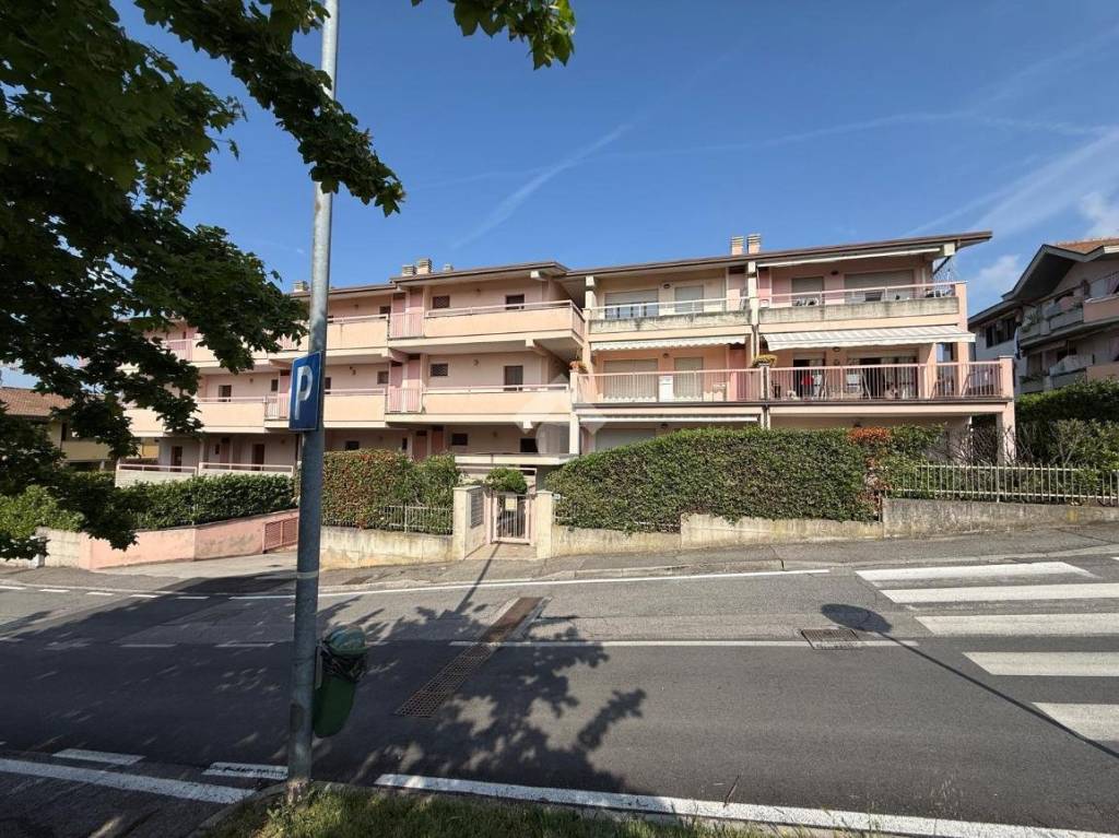 immagine annuncio 5 di 14