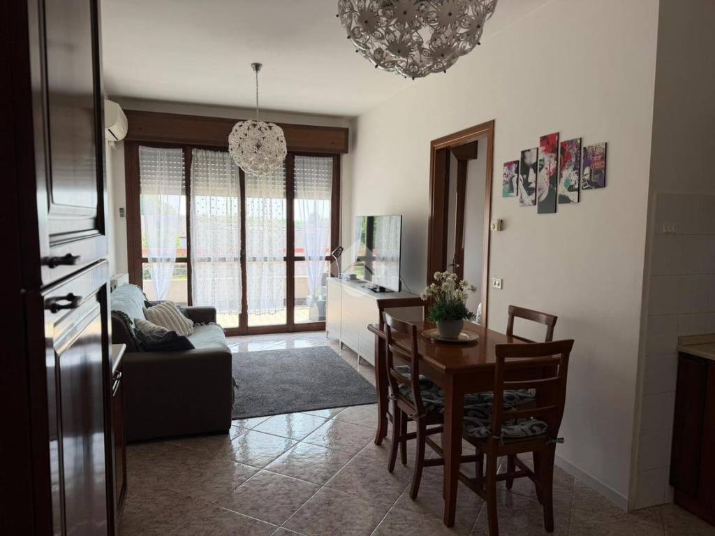 immagine annuncio 7 di 14