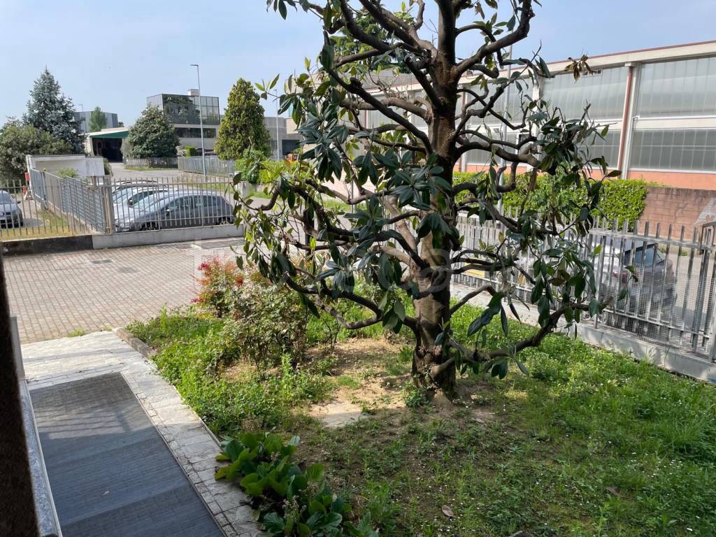 immagine annuncio 1 di 13